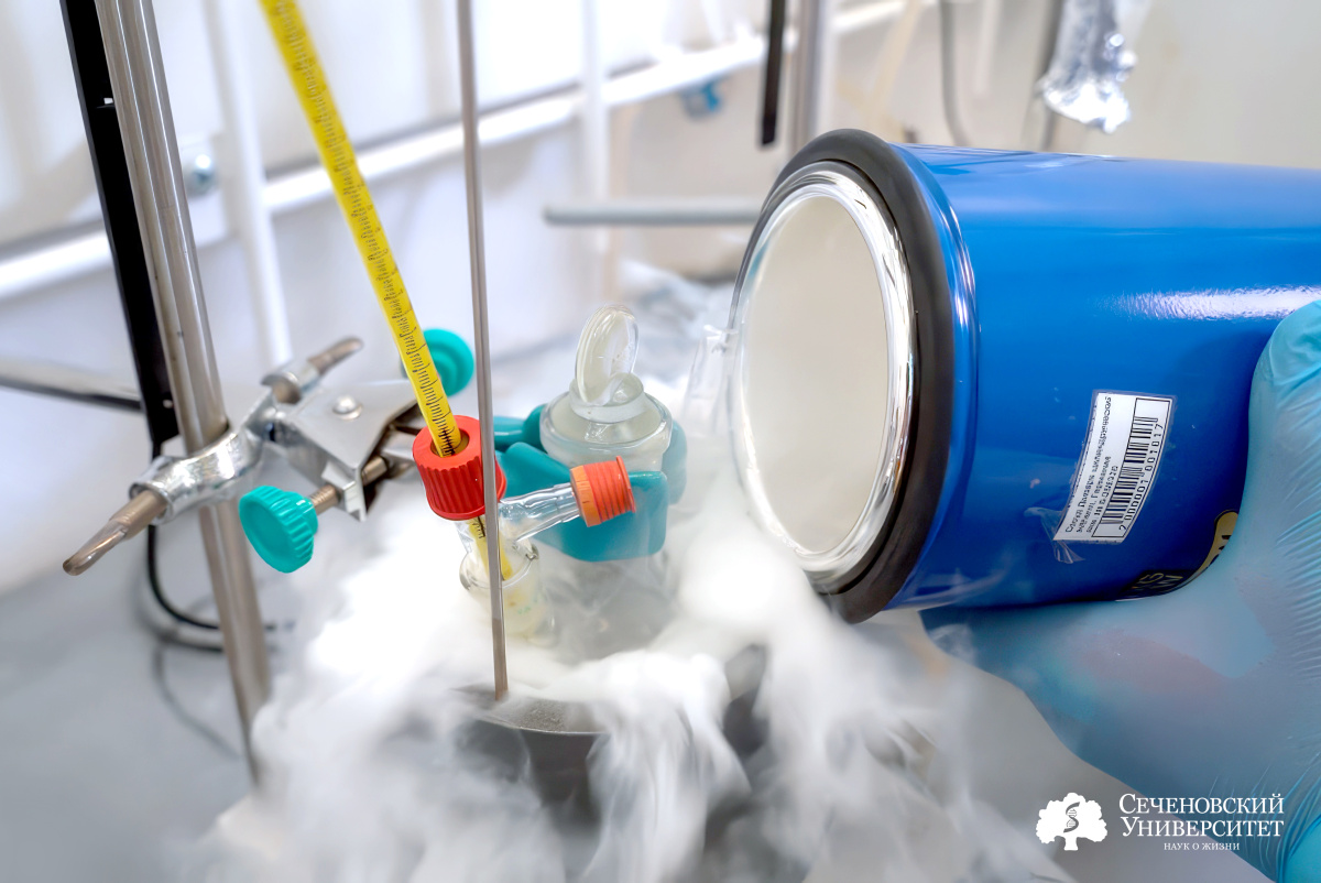  В Сеченовском Университете разрабатывают новые таргетные онкопрепараты для преодоления сопротивляемости организма к лечению 