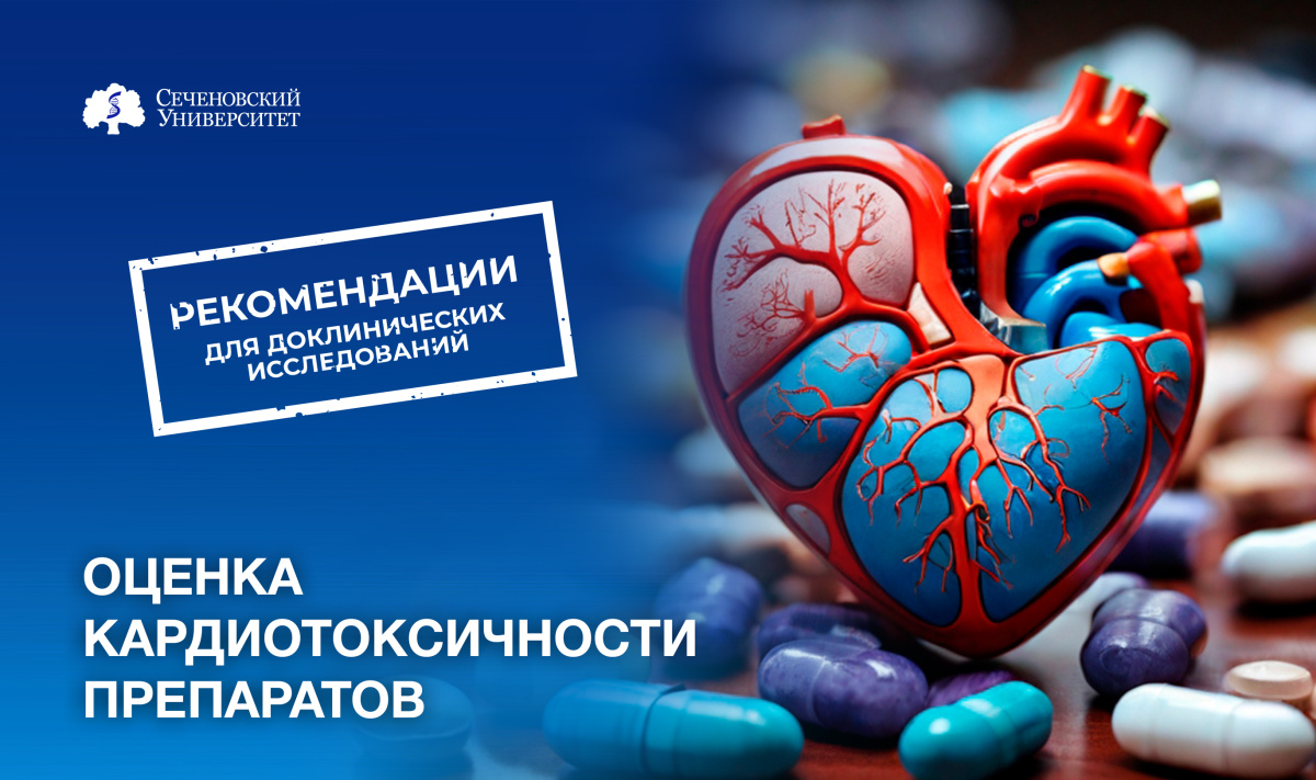 Ученые Сеченовского Университета предложили рекомендации по оценке кардиотоксичности препаратов в доклинических исследованиях