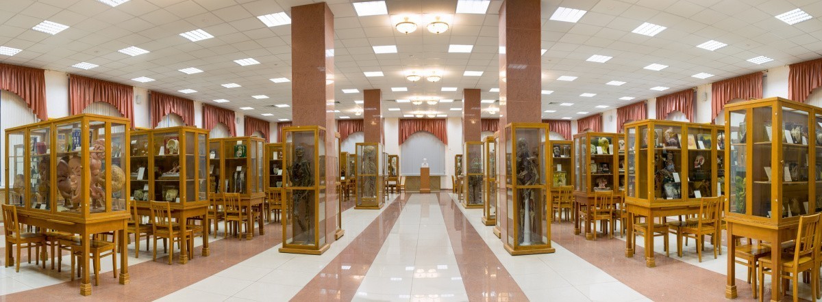 Торжество жизни: один день на кафедре анатомии