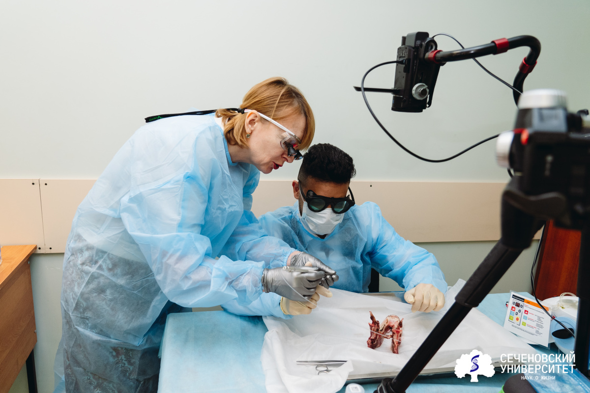 Синий лазер, силиконовый ключ и цифровой оттиск: в Сеченовском Университете провели мастер-классы для иностранных врачей