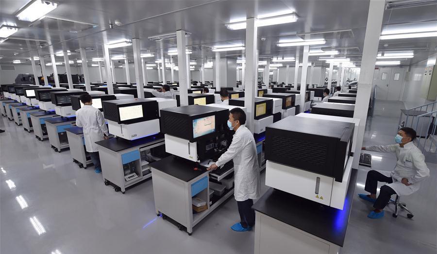 Sino-Russian Genome Center will be created at Sechenov University