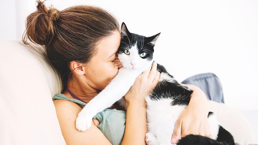 Cats Project: Scientists of Sechenov University & Medical University of Vienna are creating vaccine against cat allergies Cats Project: Scientists of Sechenov University & Medical University of Vienna are creating vaccine against cat allergies