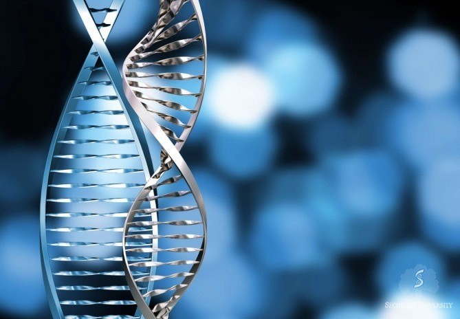 Scientists listed ways of applying genetic engineering to treat Parkinson’s disease