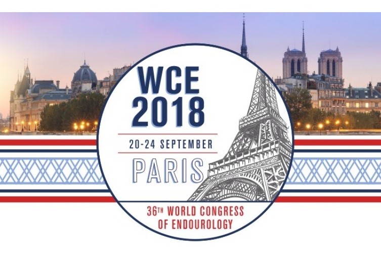 Sechenov University ranked the 3rd in the total number of reports at the World Congress of Endourology-2018