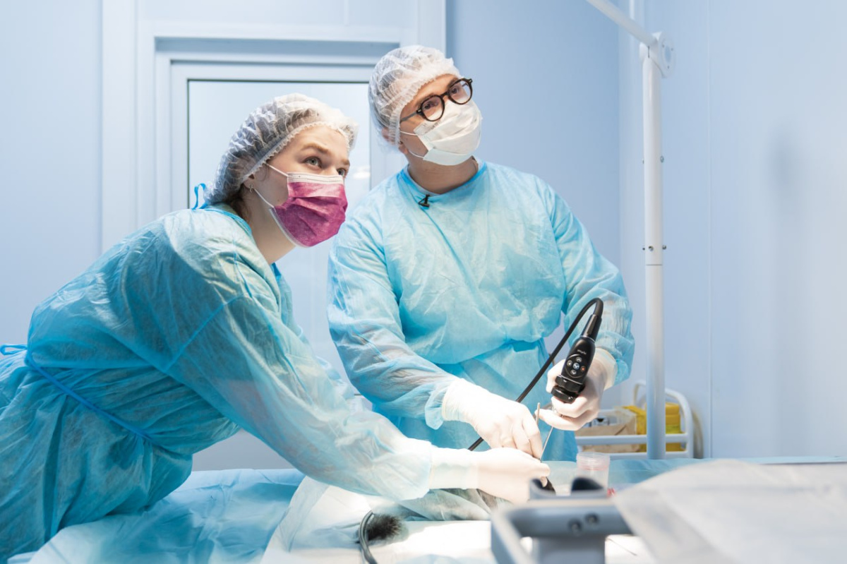 В Сеченовском Университете провели уникальную операцию по восстановлению слуха с помощью импланта, напечатанного на 3D-биопринтере