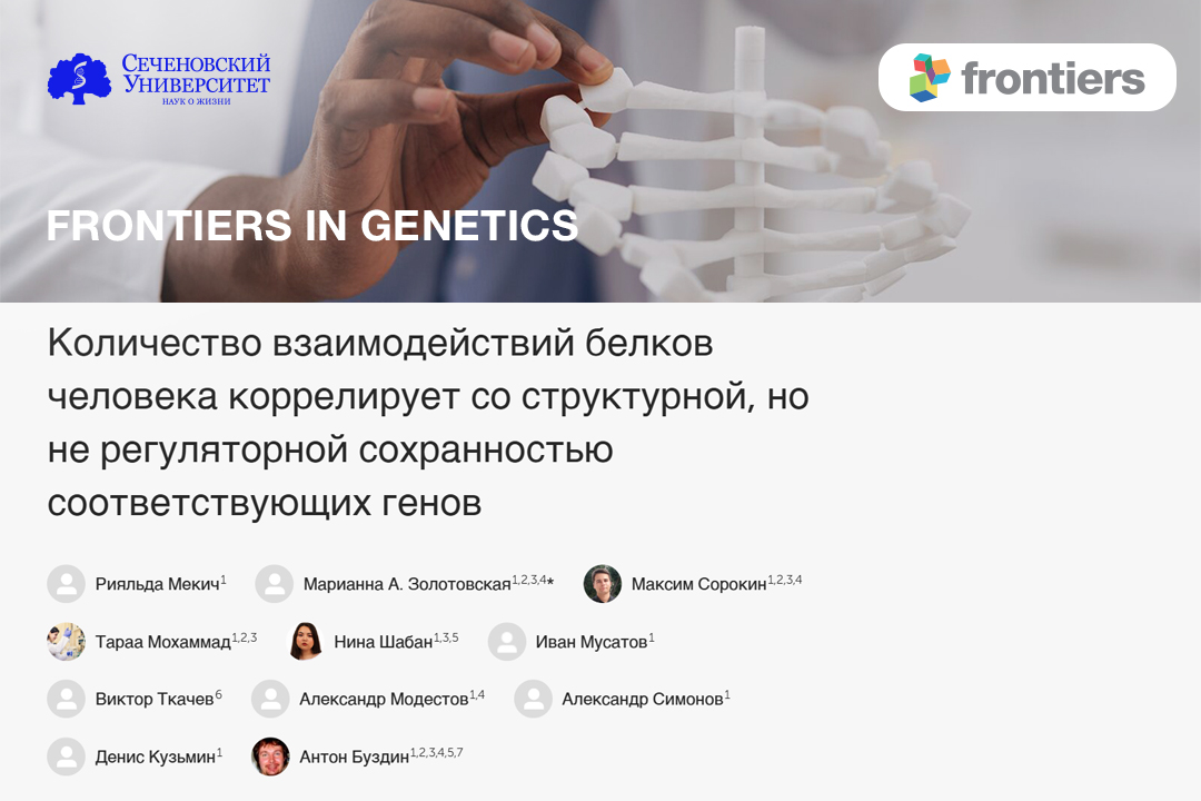  В Сеченовском Университете выяснили, как эволюция структуры генов связана с их функциями 