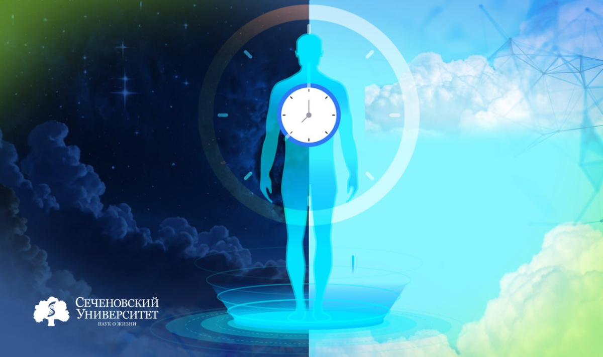  В Сеченовском Университете предложили записывать данные о циркадных циклах пациентов в электронные медицинские карты 