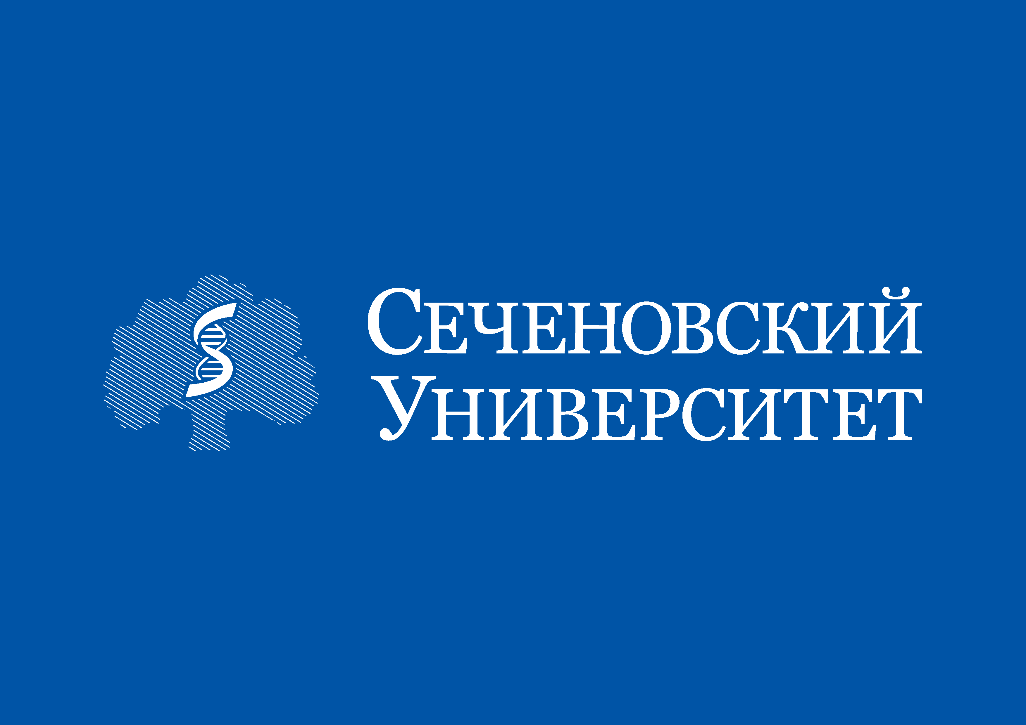 Сеченова презентация шаблон