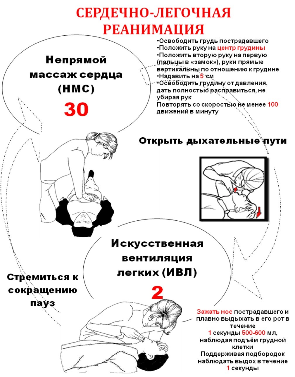 Реанимационные мероприятия действия