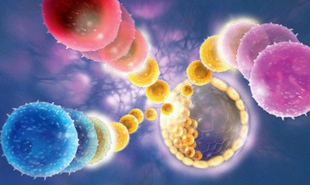 Transformer cells: shaping cellular ‘behaviour’
