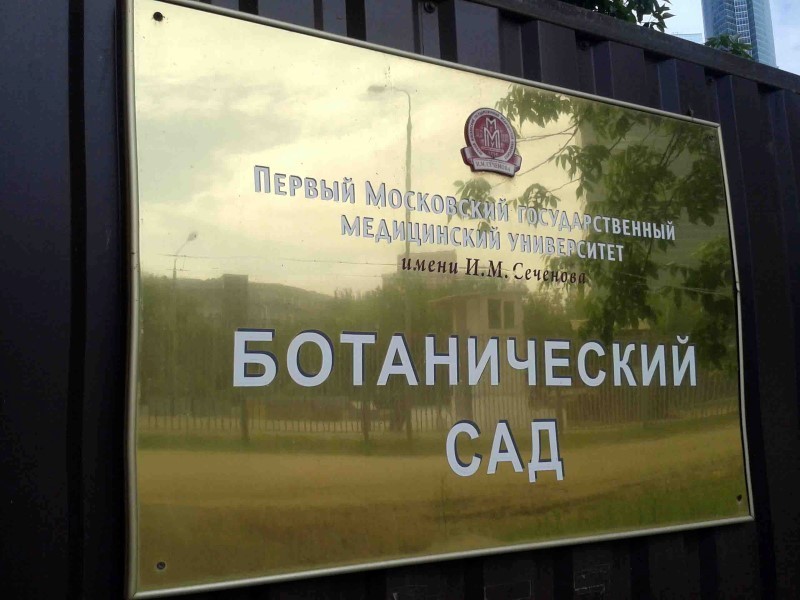 Отпуск