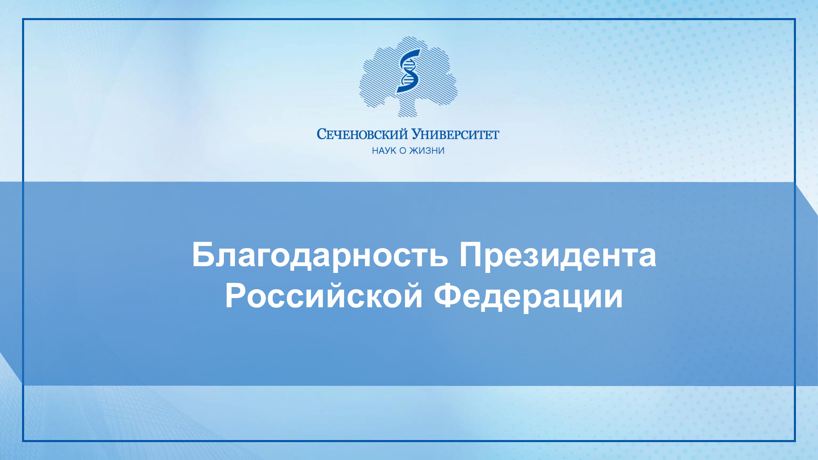 Слайдер # 16