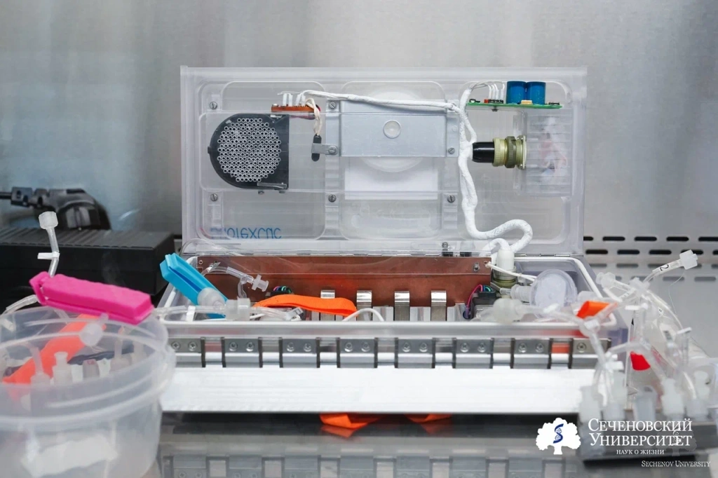 Sechenov University launches the final MSK-2 experiment on the ISS — sending a living cartilage model to orbit