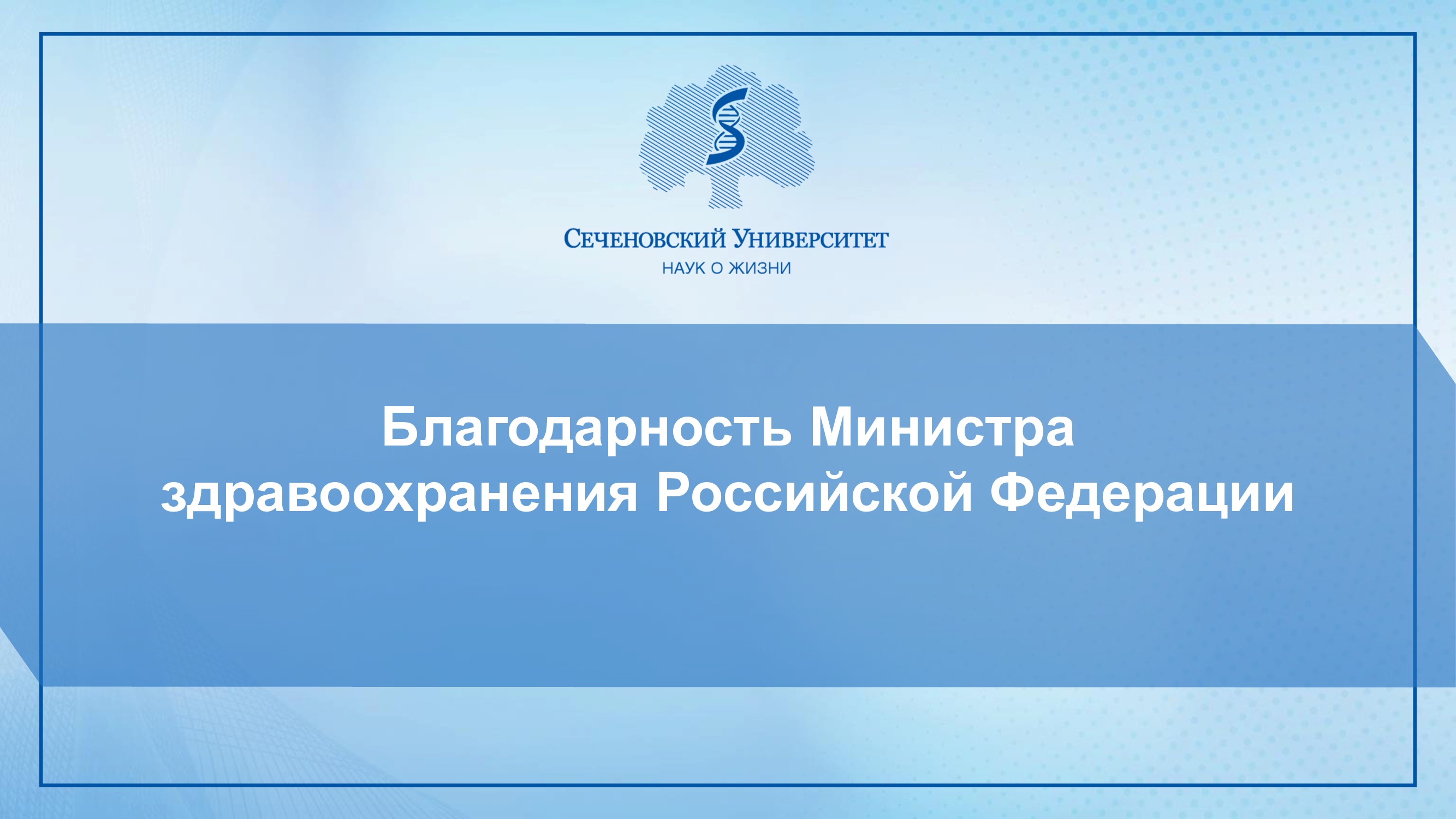 Слайдер # 43