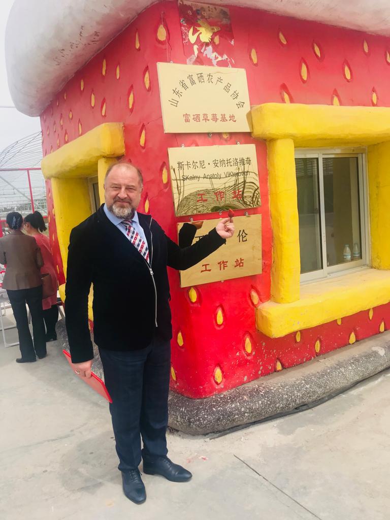 Молекулярная диетология: лаборатория по обогащению клубники им. проф. А.В. Скального