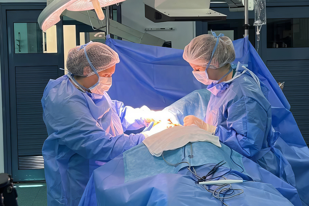 Врачи Сеченовского Университета поделились лучшими клиническими практиками с коллегами из Туниса