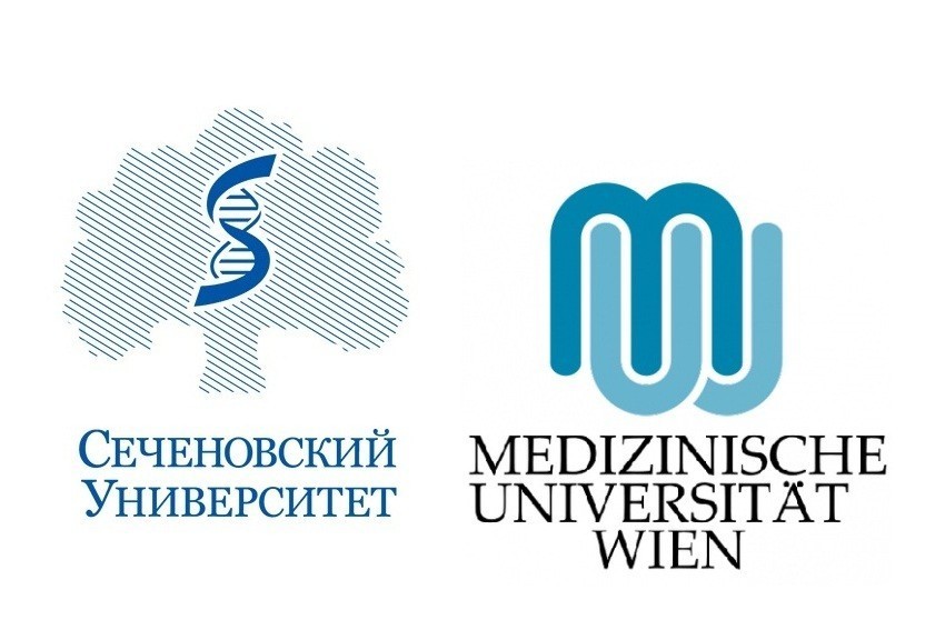 Венский медицинский университет: расширение направлений сотрудничества
