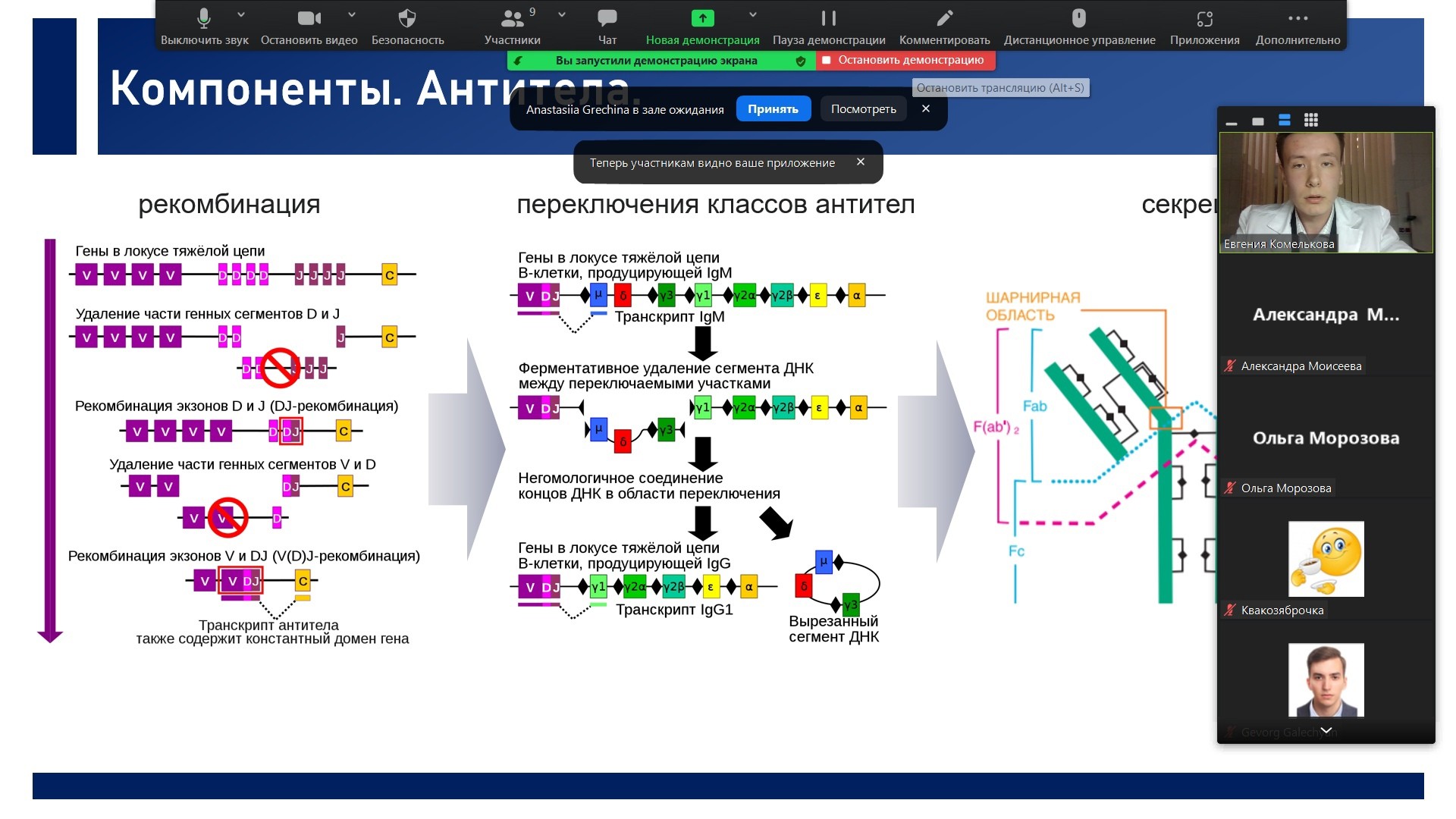 Семинар по современным методам исследования в иммуногистохимии Семинар по современным методам исследования в иммуногистохимии
