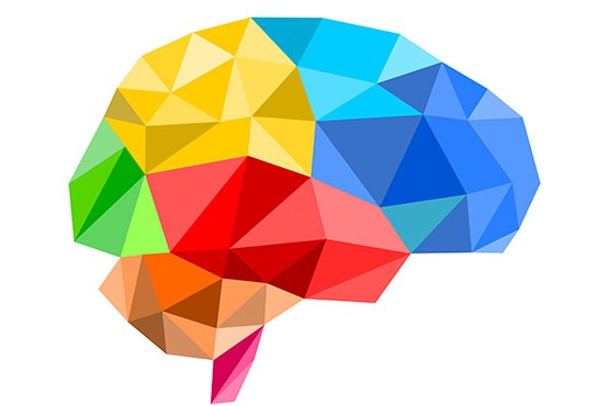 Нейропсихиатрия. Дополнительное профессиональное образование для врачей