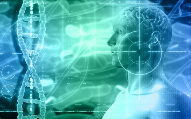 Neurobiologists from Sechenov University specified functions of a gene autism-associated 
