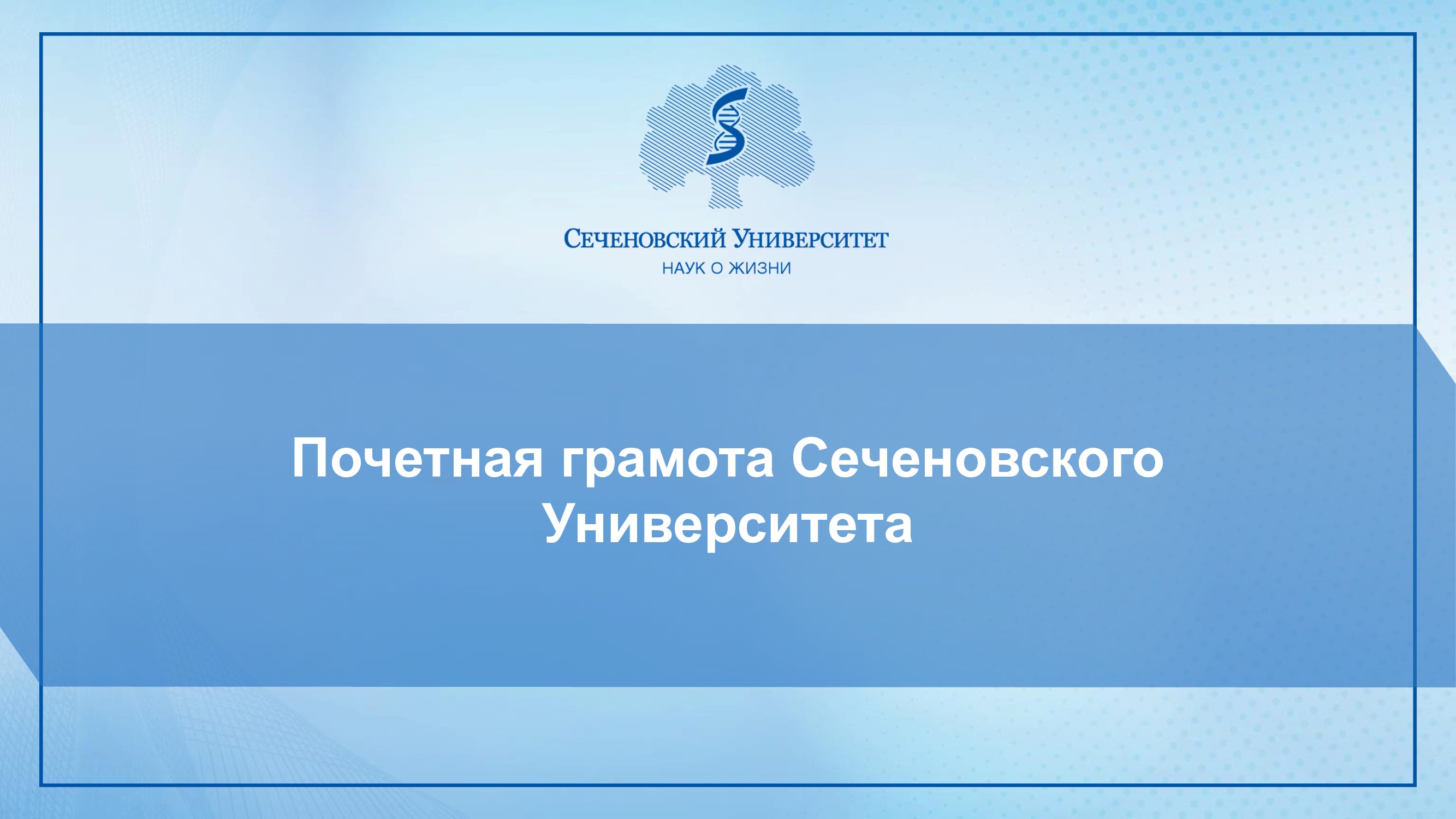 Слайдер # 67