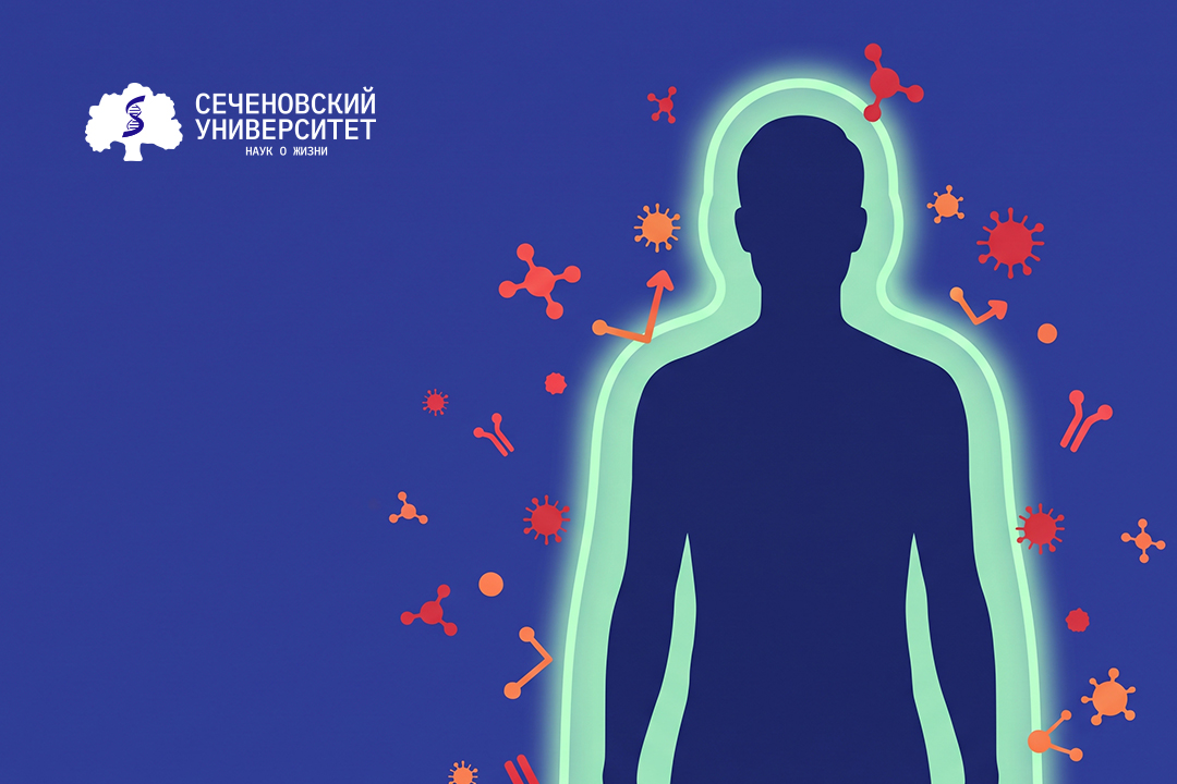 Ученые Сеченовского Университета выявили возрастные различия иммунного ответа при инсульте