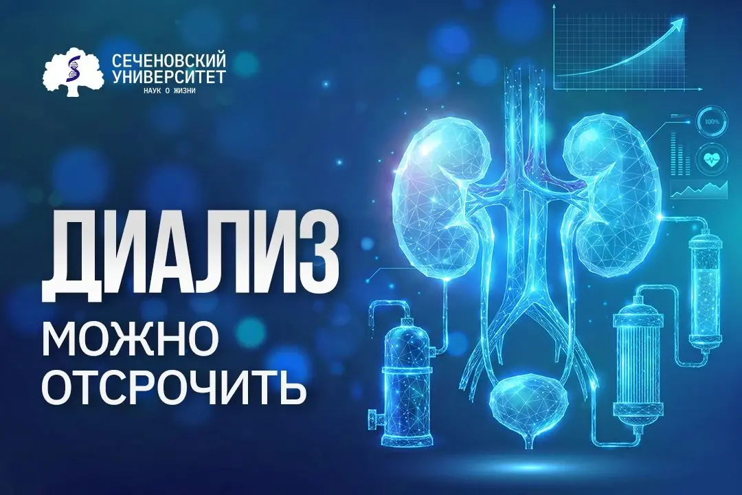 Нефрологи Сеченовского Университета изучают роль микробиоты   кишечника при хронической болезни почек