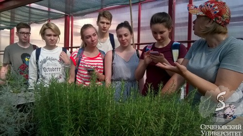 Стажировка сотрудников и студентов Института фармации в Крыму