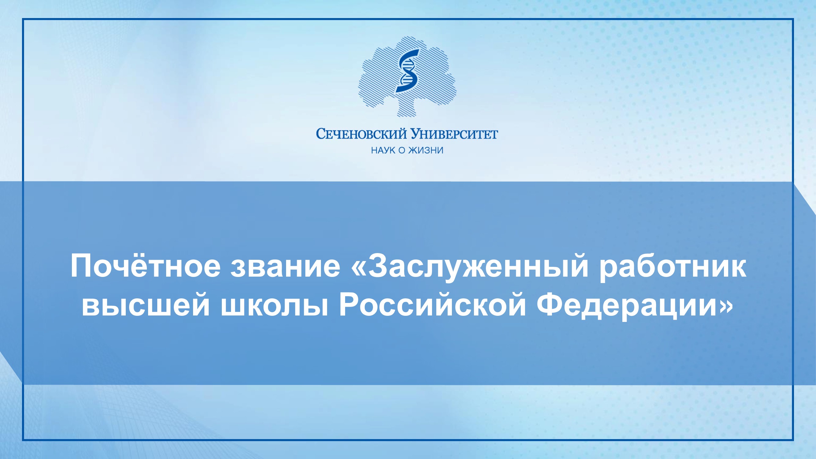 Слайдер # 13