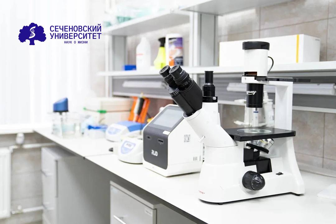 Ученые Сеченовского Университета проследили изменения в «почтовой системе» организма у пациентов с алкогольной зависимостью