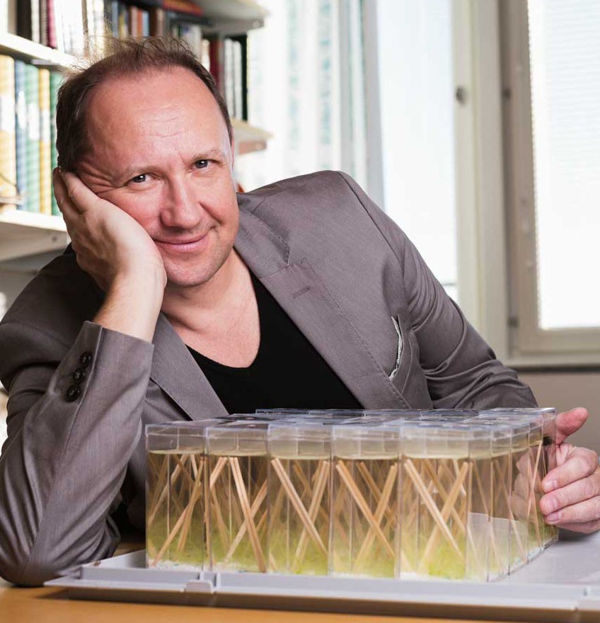 Преподавание иностранных ученых в Институте Фармации