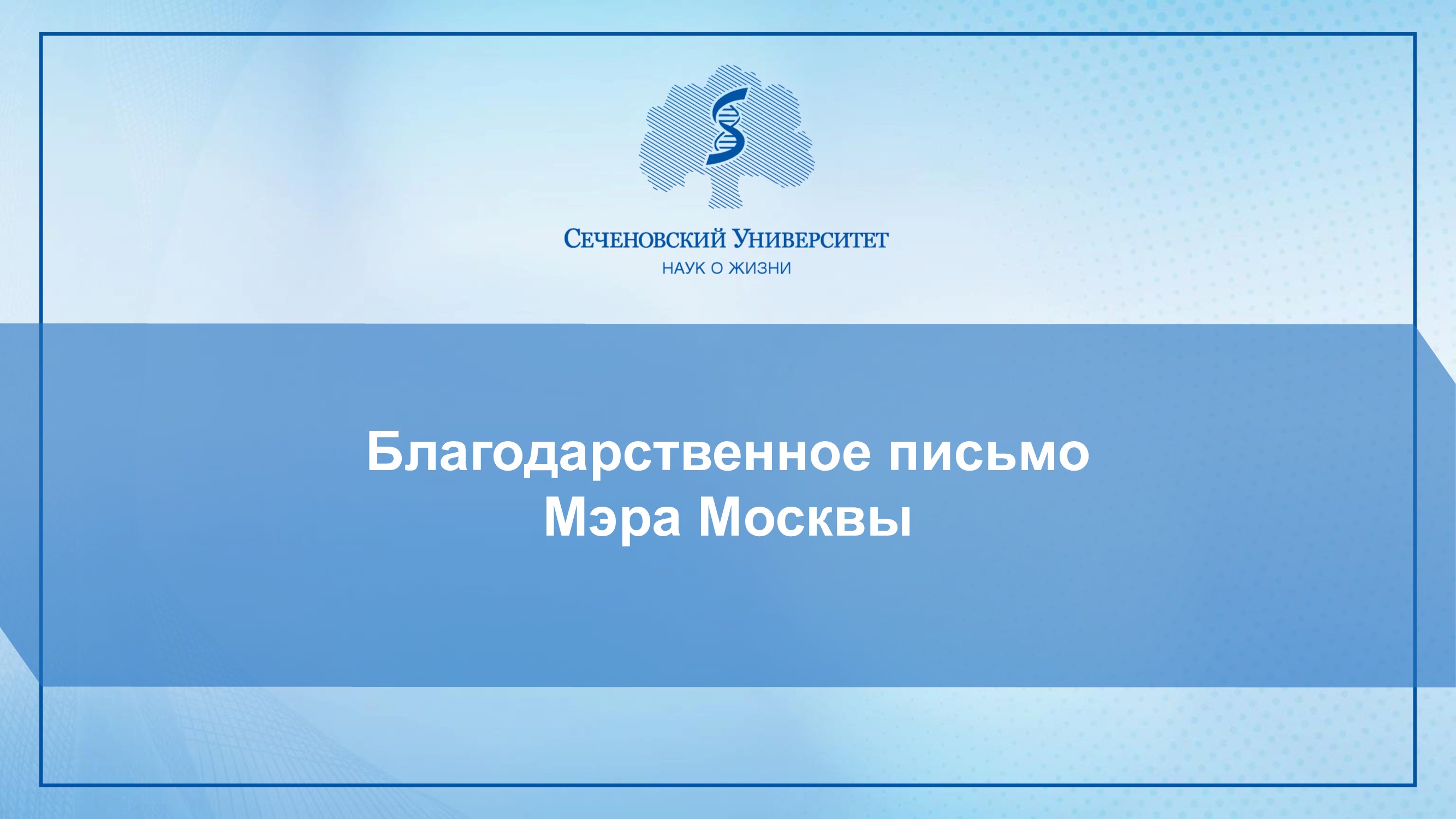 Слайдер # 60