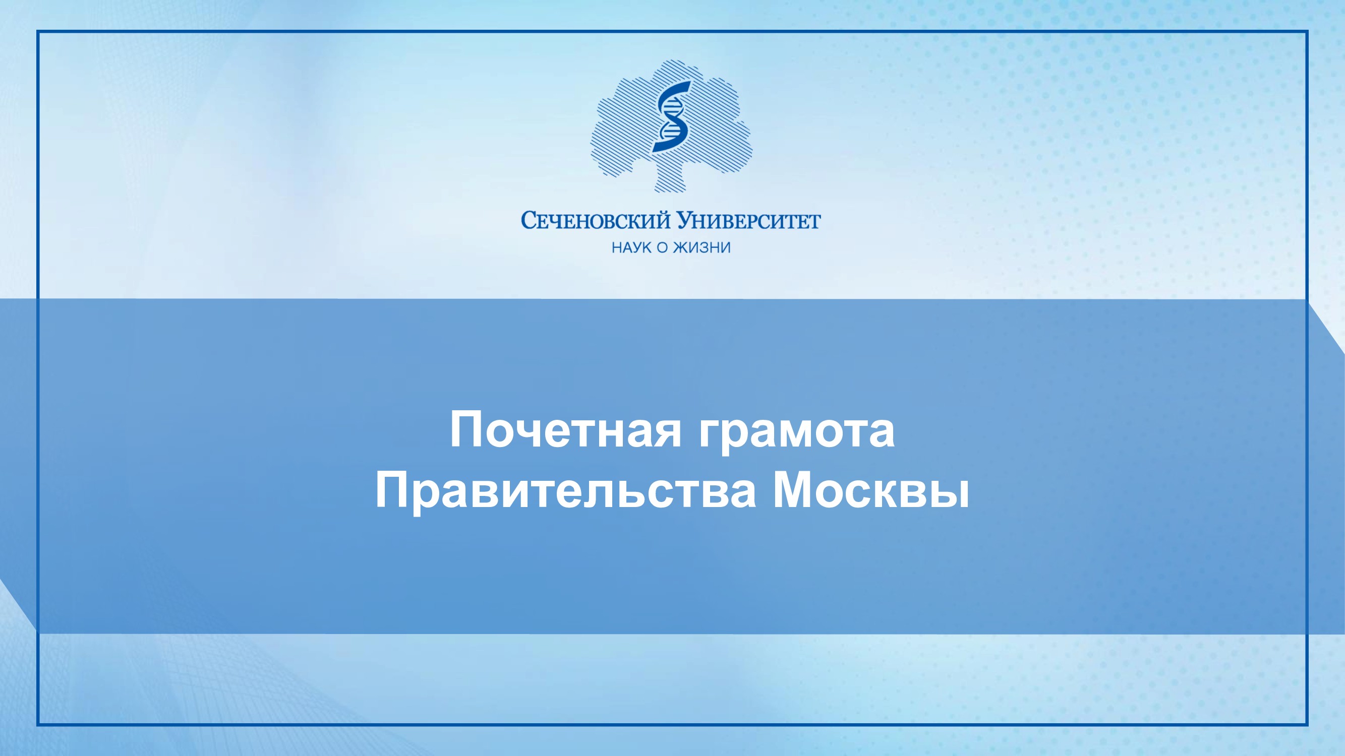 Слайдер # 53