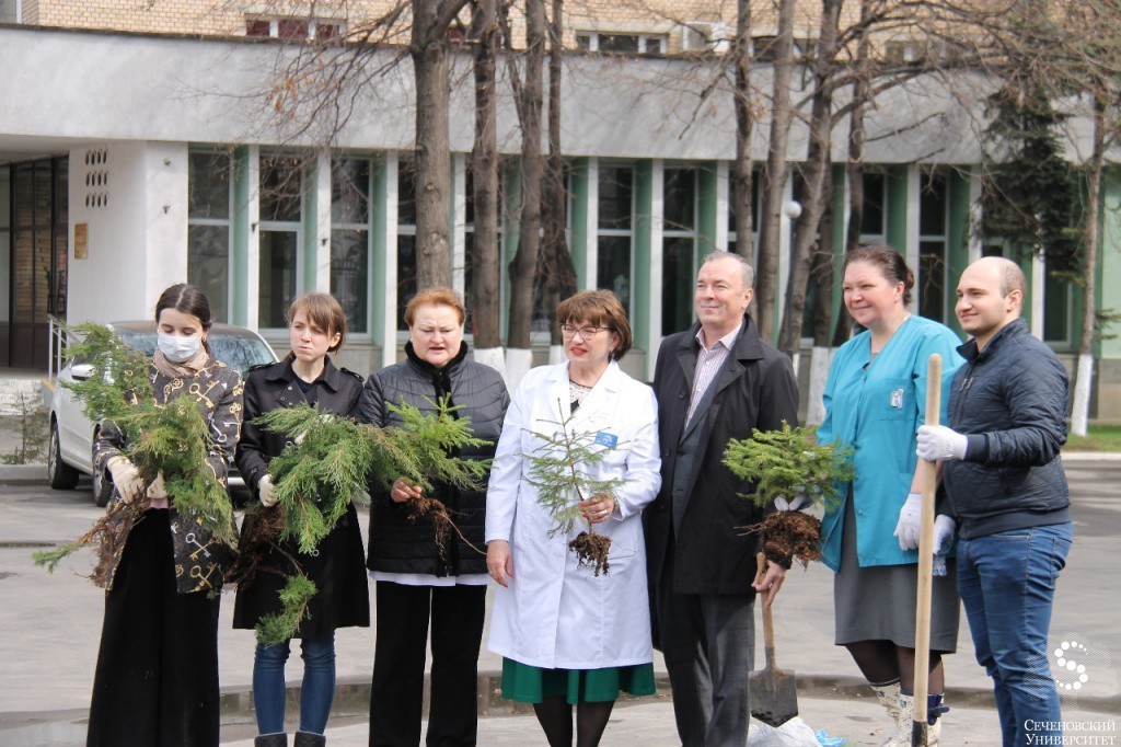 «Зеленый уголок» на Можайском валу