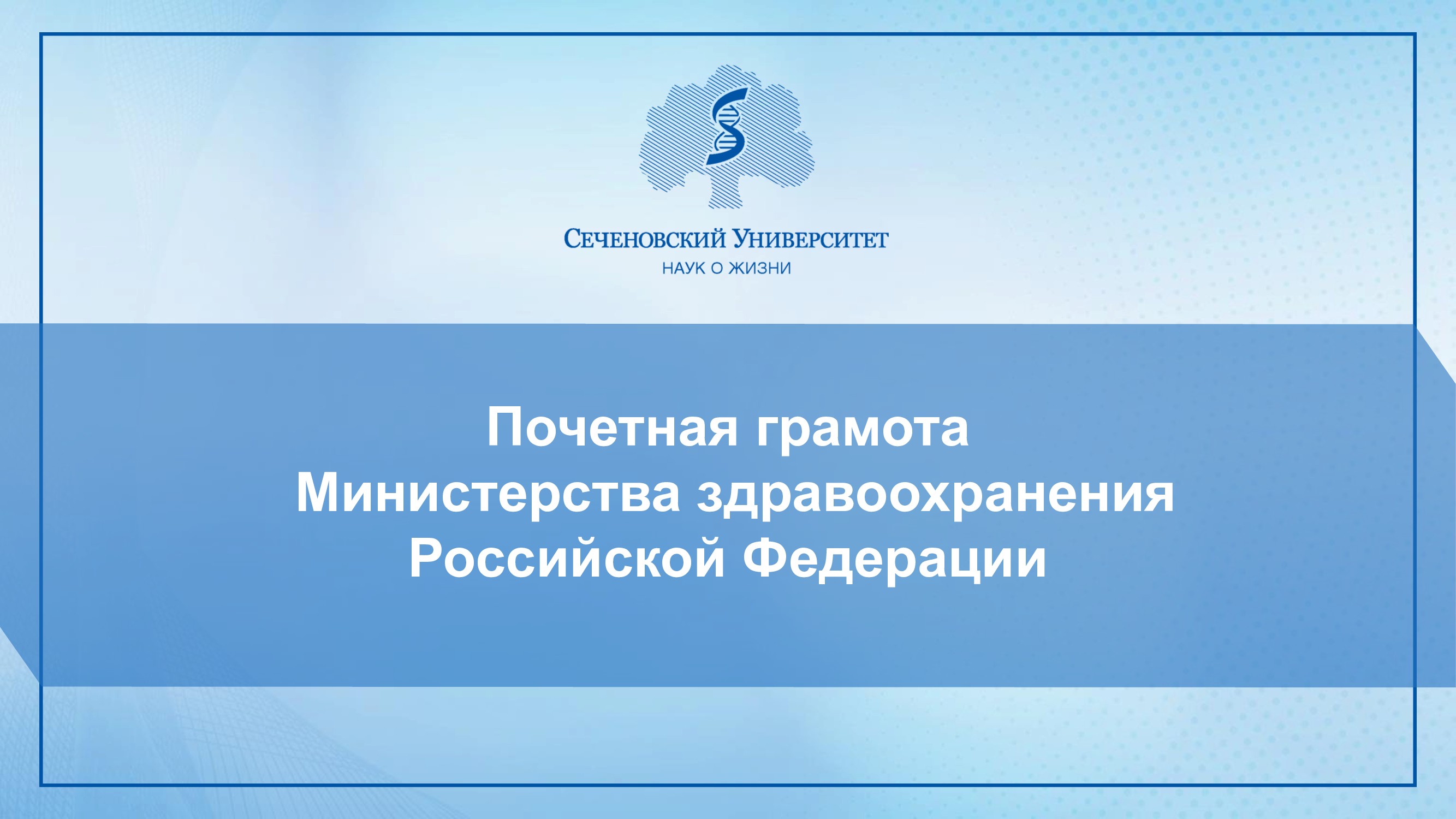 Слайдер # 38
