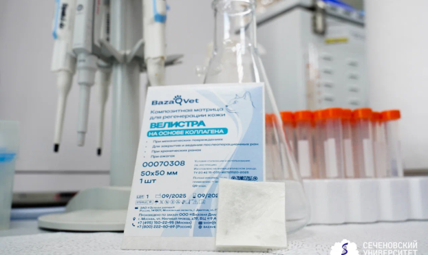 Сеченовский Университет вывел на рынок первую в мире композитную «искусственную кожу» для лечения ран у животных