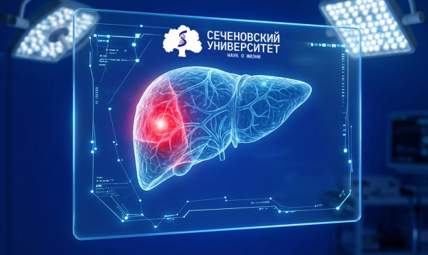 Ученые Сеченовского Университета создадут клеточную 3D-модель опухоли печени для поиска уязвимостей рака