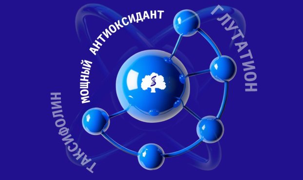 Сила дуэта: ученые Сеченовского Университета нашли ключ к усилению природных антиоксидантов