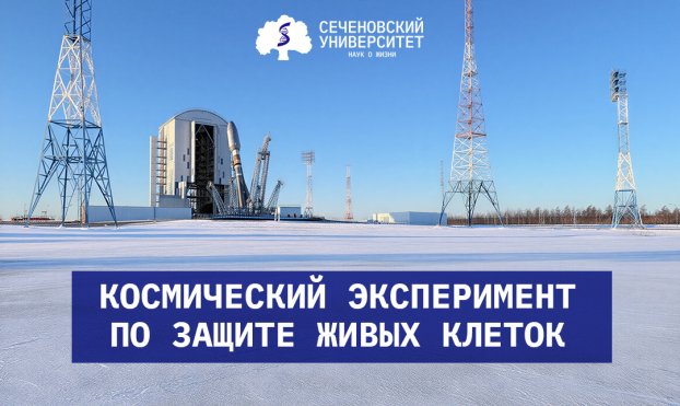 Сеченовский Университет принял участие в космическом эксперименте по защите живых клеток