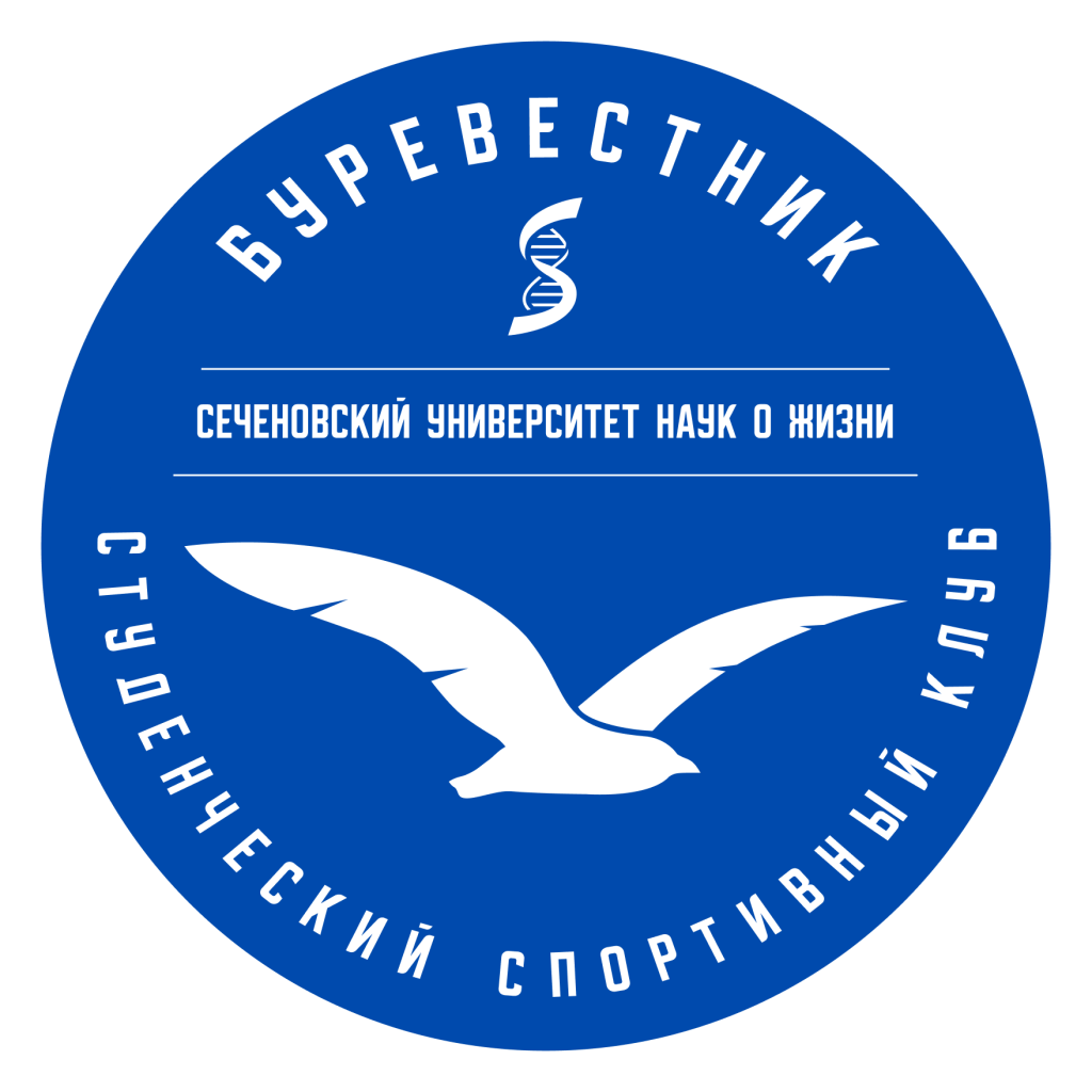 Основной лого.png Основной лого.png
