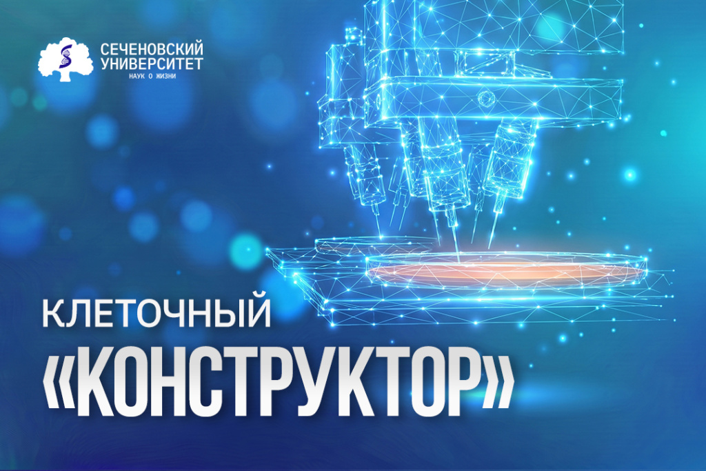 411D1D4F-3890-4C15-B40B-93CEB409ECB5.webp 411D1D4F-3890-4C15-B40B-93CEB409ECB5.webp