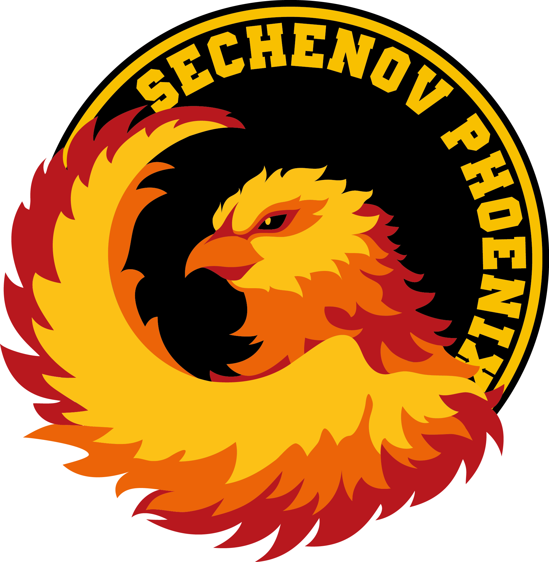 logo_phoenix_new_4%20цвета.png