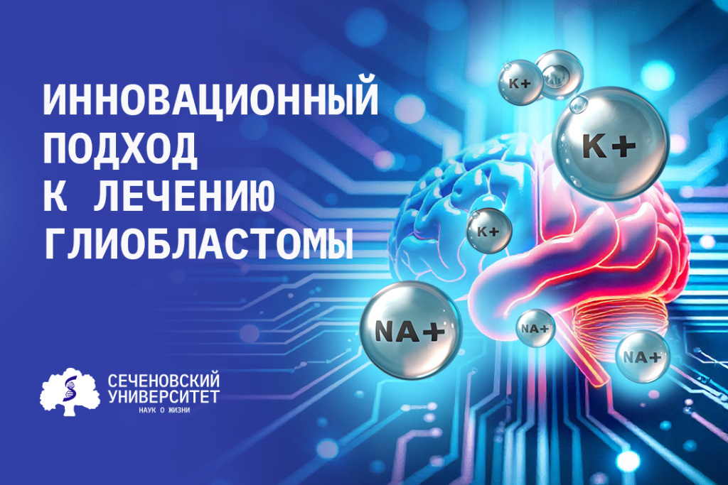 IMG_7414.jpeg IMG_7414.jpeg