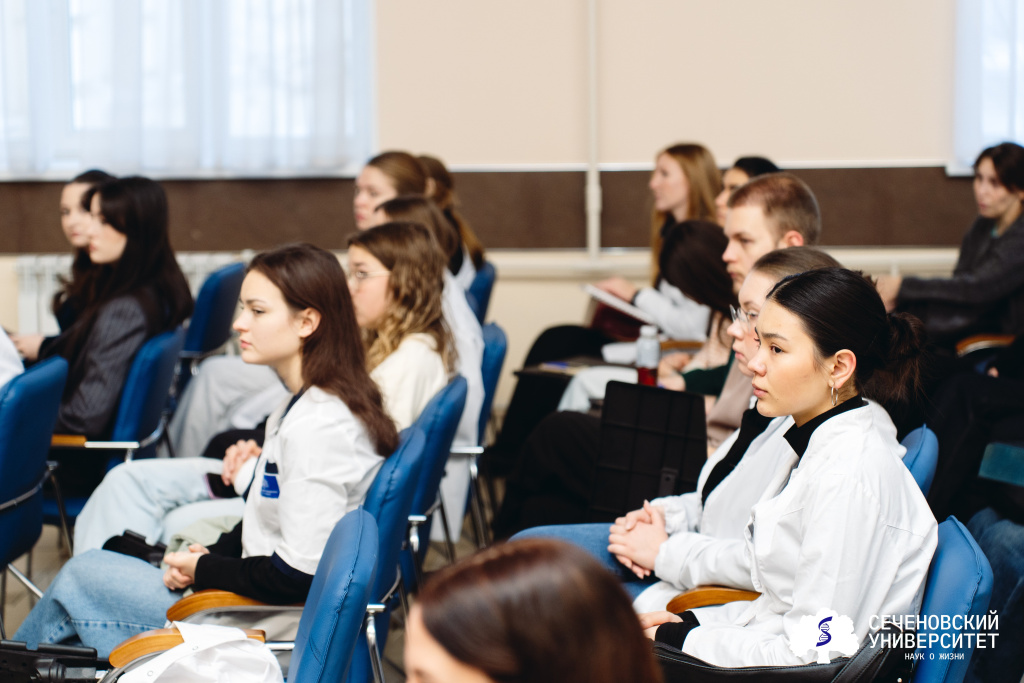 IMG_9091.jpeg IMG_9091.jpeg