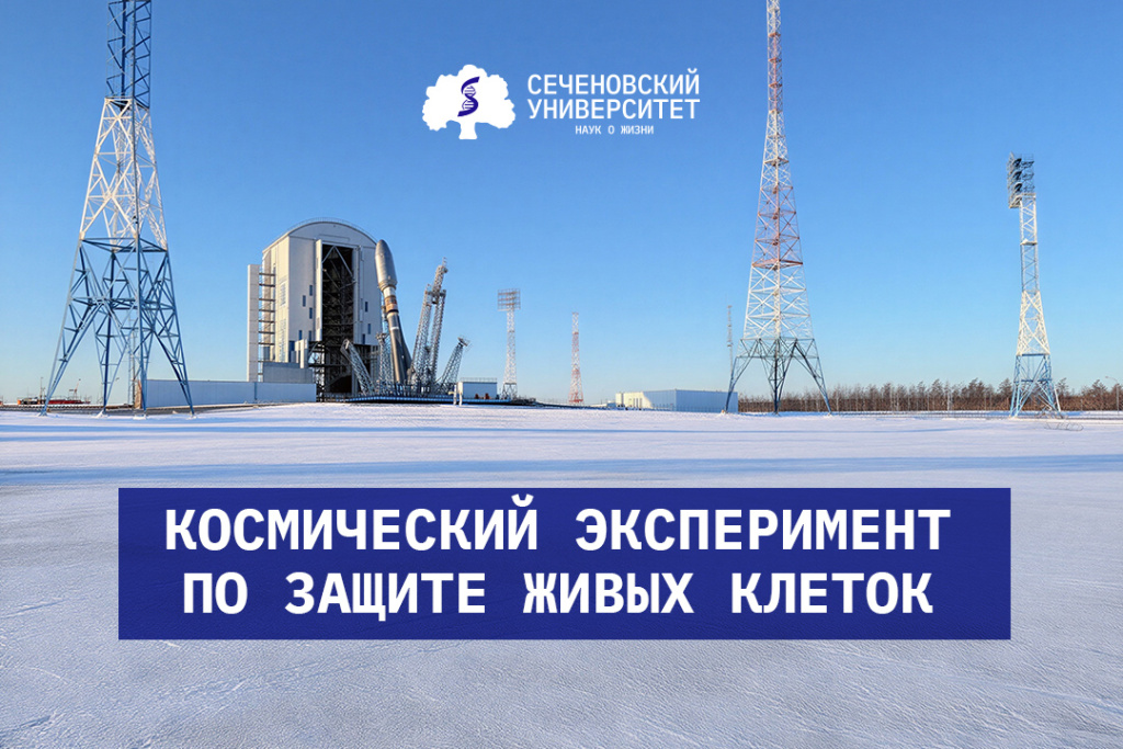 Космический эксперимент.jpeg image-24-02-26-10-22.jpeg