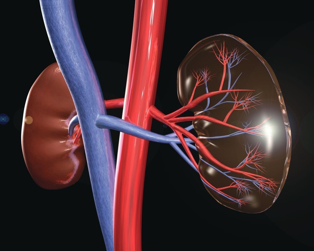 kidneys_2_web.jpg