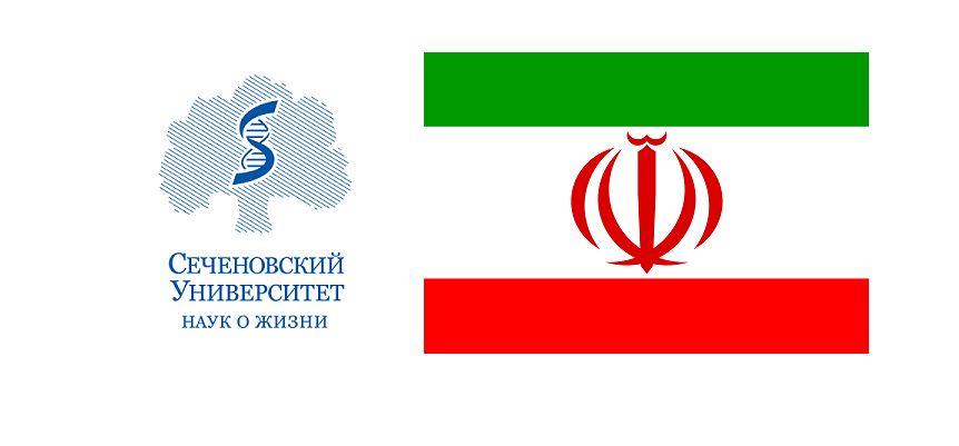 Шаблон для презентации сеченовский университет