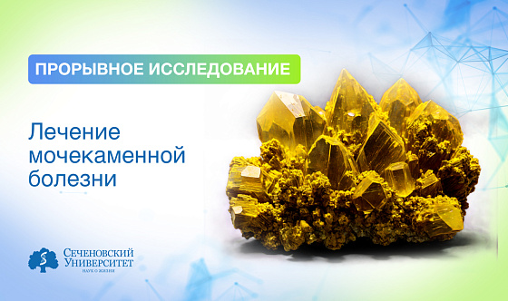  Ученые Сеченовского Университета открыли особенность почечных камней, которая мешает с ними бороться 
