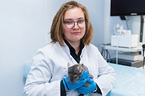 Заведующая лабораторией регенеративной ветеринарии Научно-технологического парка биомедицины Яна Христидис – об инновациях в ветеринарии 
