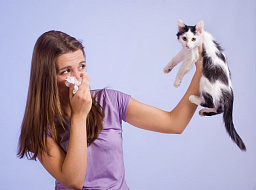 В России появится первая в мире вакцина против аллергии на кошек
